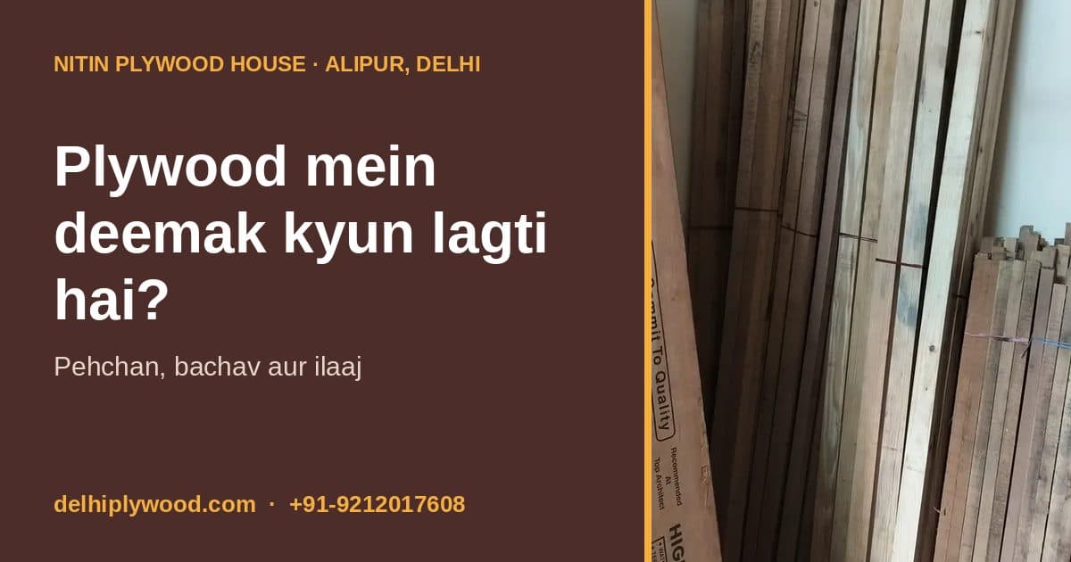 Plywood Mein Deemak Kyun Lagti Hai? Pehchan, Bachav aur Kya Karein